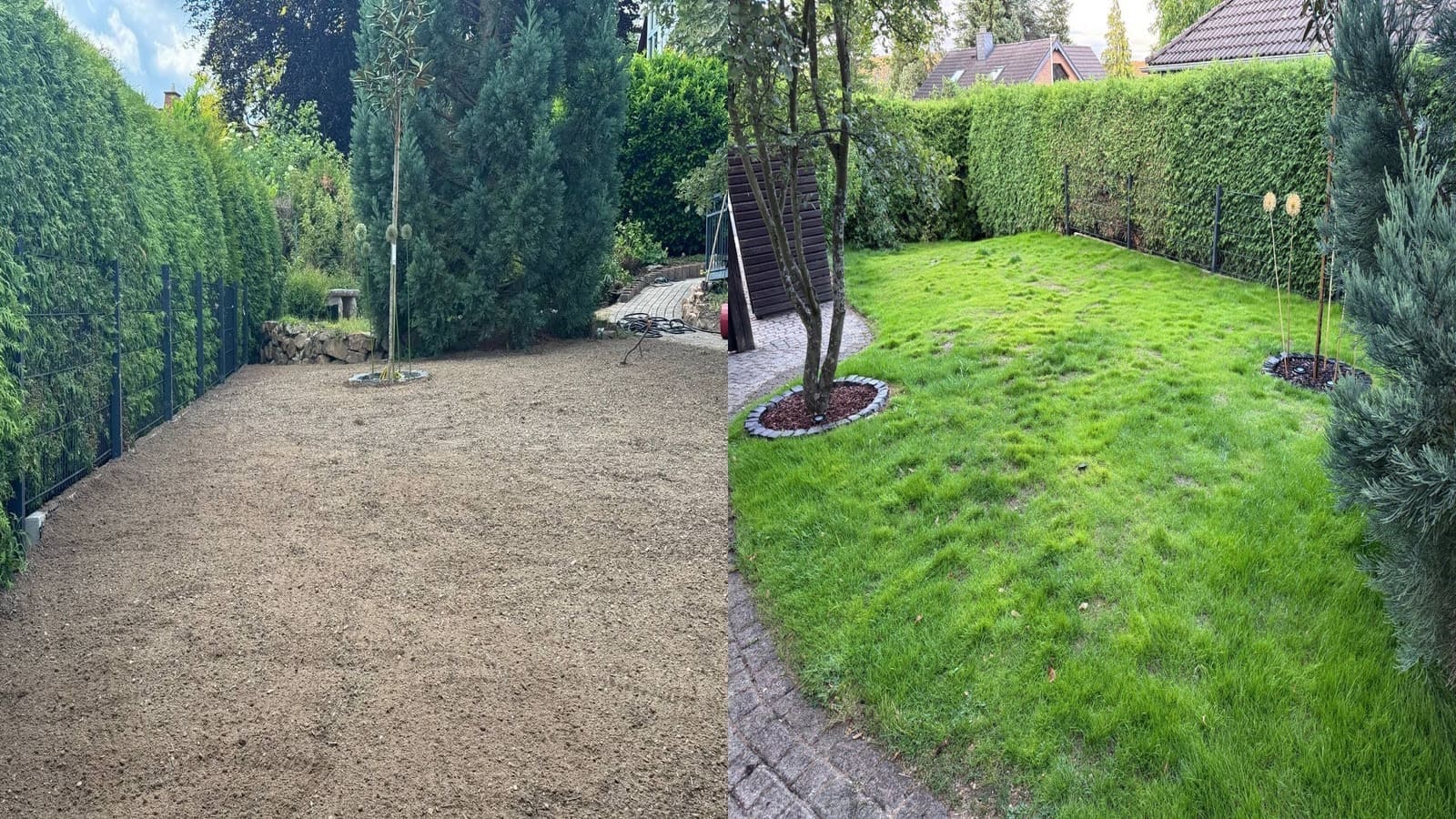 Projekt 6